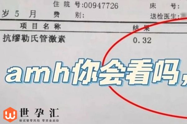 amh 检查在试管中有什么作用，可以判断移植的最佳时机