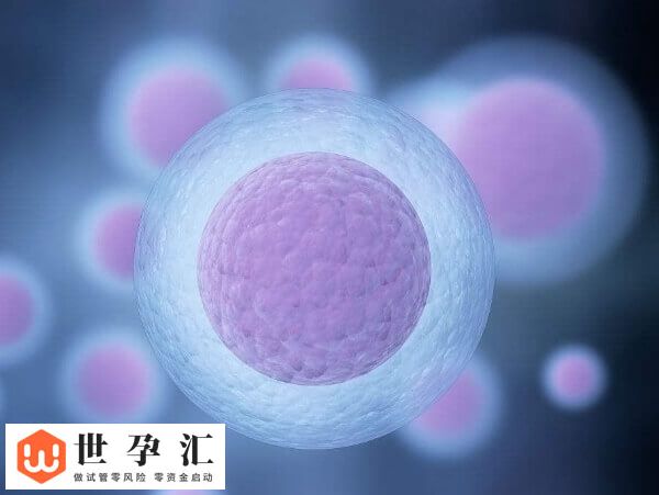 拮抗剂方案移植鲜胚的最佳时间是取卵后的第3天吗?(图1) 拮抗剂方案移植鲜胚的最佳时间是取卵后的第3天吗?(图1)