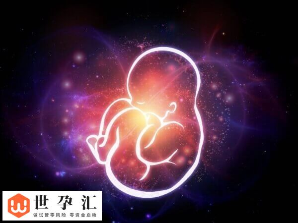 试管移植前除了调整作息和饮食可增加成功率还怎么调理?(图1) 试管移植前除了调整作息和饮食可增加成功率还怎么调理?(图1)