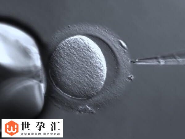 10c4胚胎是不是优质的(图2) 10c4胚胎是不是优质的(图2)