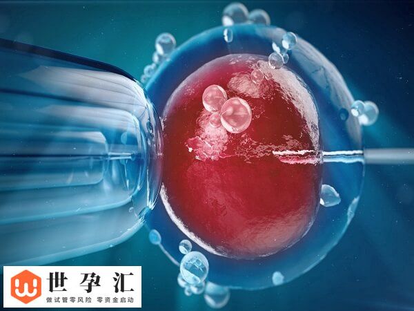 肾积水试管移植两个囊胚有没有影响(图1) 肾积水试管移植两个囊胚有没有影响(图1)