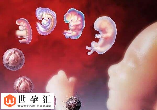 9c4胚胎有没有必要移植