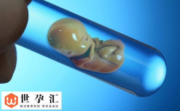 胚胎10c3养囊能否成功