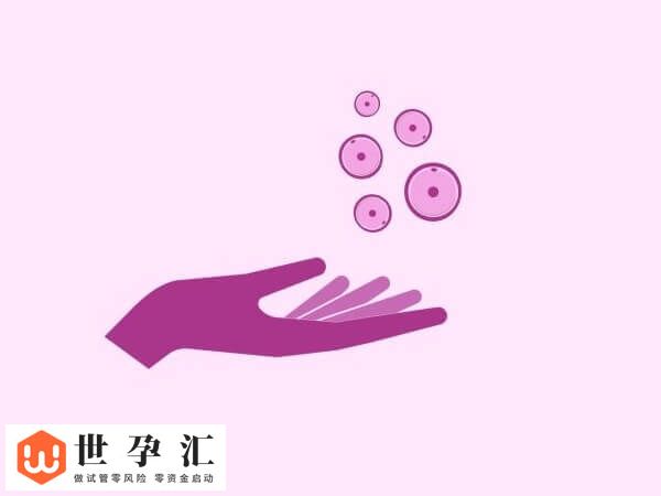 10c2胚胎的成功率高不高