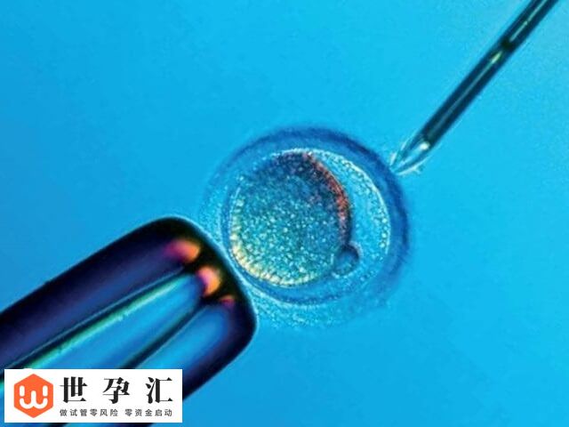 10c1胚胎的质量好不好(图2)