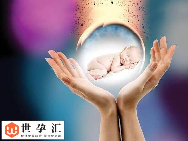 移植9细胞2级胚容不容易着床(图2)