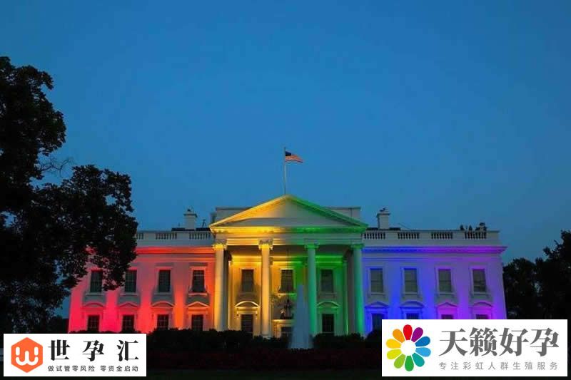 A套餐：供卵自怀 10万