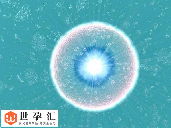 子宫切除怎么做试管怀孕(图2) 子宫切除怎么做试管怀孕(图1)