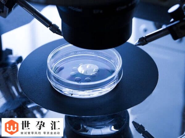 4bc和4ac哪个是最差的囊胚?移植成功率分别是多高呢?(图1) 4bc和4ac哪个是最差的囊胚?移植成功率分别是多高呢?(图1)