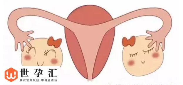 多囊卵巢综合症怎么调理