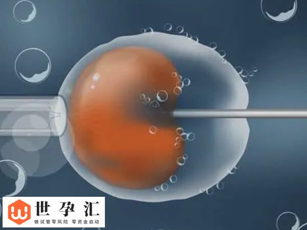 试管建档之后下一步干嘛(图1)