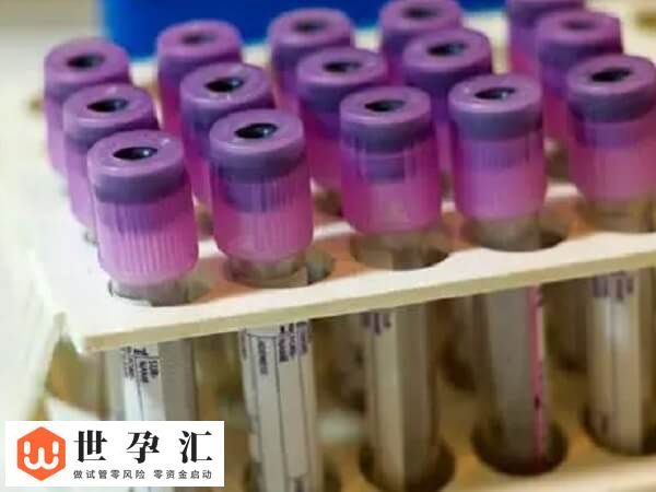 试管建档之后下一步干嘛(图2)