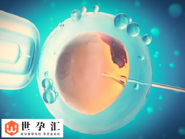 试管孩子是不是真的智商低(图1) 试管孩子是不是真的智商低(图1)