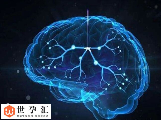 试管孩子是不是真的智商低(图2) 试管孩子是不是真的智商低(图2)