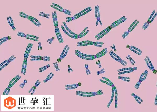 试管精卵结合却不发育怎么办(图1) 试管精卵结合却不发育怎么办(图1)