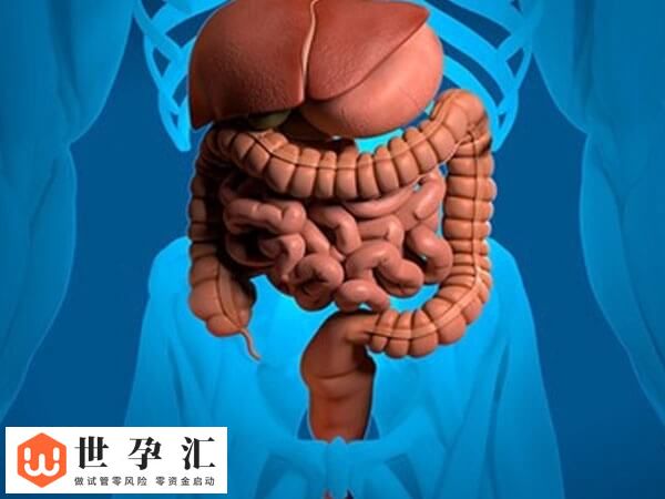 试管移植后肠痉挛正不正常