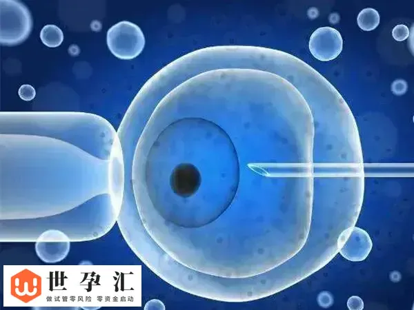 促排期间如何提高卵子质量