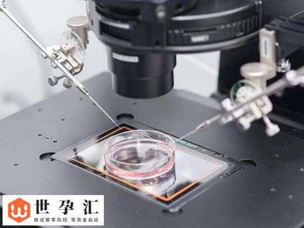 第四代试管婴儿技术是什么