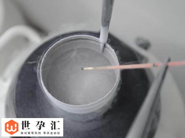 第四代试管婴儿技术是什么(图2) 第四代试管婴儿技术是什么(图2)