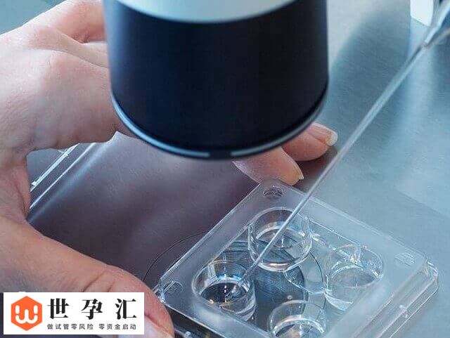 三代试管移植成功了要注意什么